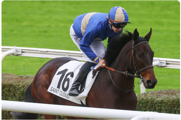 QUARTE/TIERCE/COUPLE DU JEUDI 29 MAI 2025 OUTSIDERS: PARISLONGCHAMP-16 PARTANTS PRIX DU PETIT PRE – 6ème COURSE (R1) Plat – Handicap Divise – Corde à droite – 1600 mètres – 53 000 € Départ de la course: 18h15mn   JVFE Pronostics 11-12-2-6-13-8-1-14 ATTENTION 16