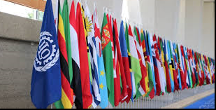 OIT : Comment l’IA générative pourrait-elle impacter différentes professions ?