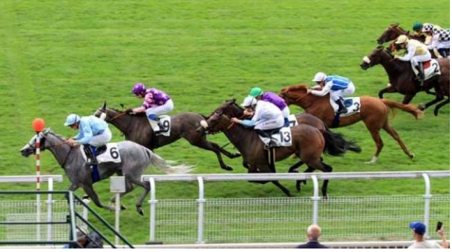 PRONOSTIC ET PROGRAMME PMU QUARTE/TIERCE/COUPLE DU MARDI 13 MAI 2025SAINT CLOUD 16 PARTANTSPRIX PISTOL PACKER – 1ère COURSE (R1)Plat – Handicap Divise – Corde à gauche – 1400 mètres – 53 000 €