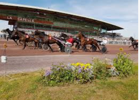 QUINTE+TIERCE/COUPLE du Mercredi 03 Septembre 2025