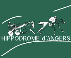 PRONOSTIC JVFE PMU ARL1 DU LUNDI 08 JUIN 2026- ANGERS EVENTARD – HANDICAP D’ANGERS LOIRE METROPOLE -16 CONCURRENTS – 8ème COURSE – PLAT 50 900 EUROS ( ENV. 33 500 000 F CFA ) – 2 300 METRES