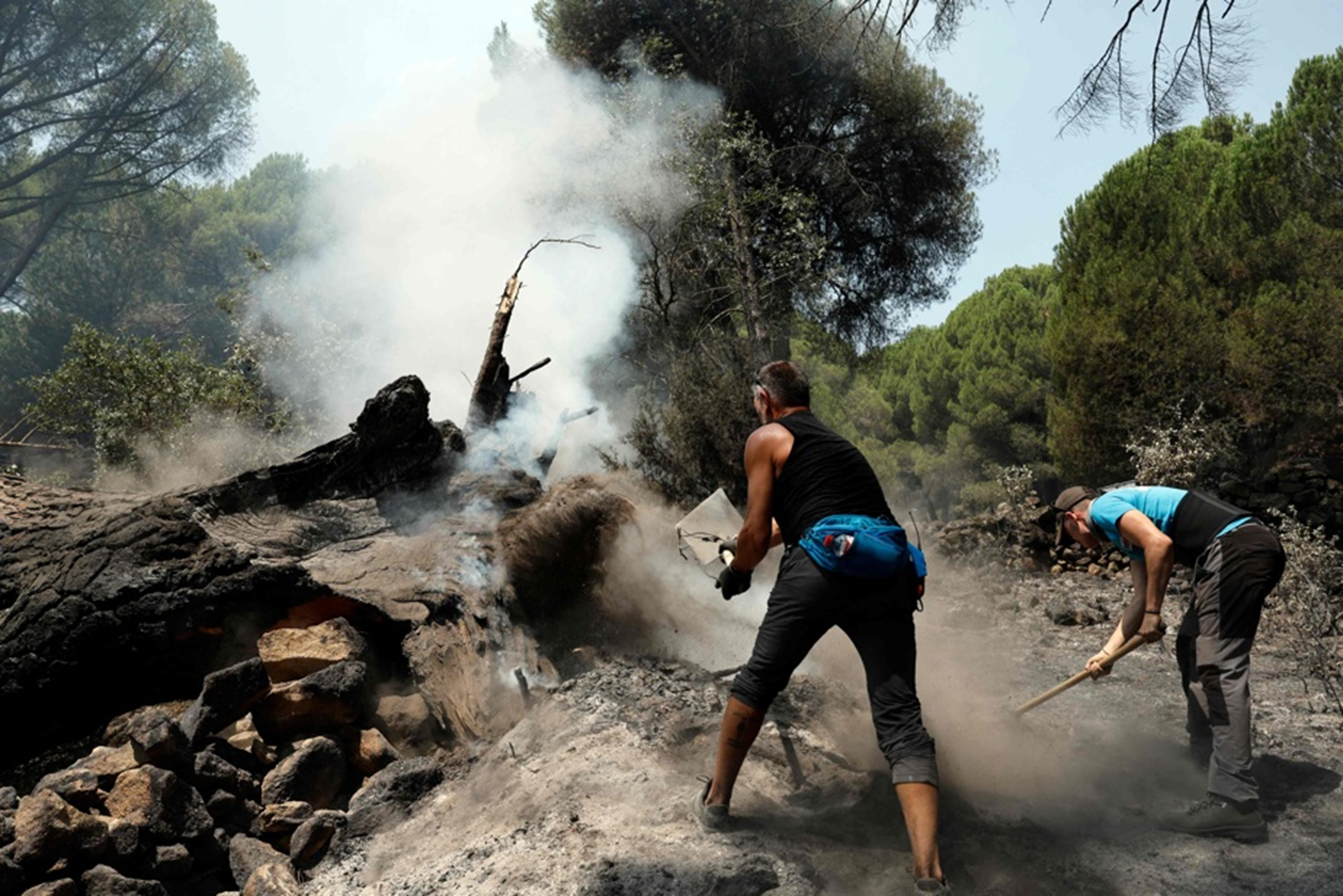Incendies en Espagne : entre sursaut de solidarité internationale et l’urgence nationale pour  sauver les régions de Madrid et d’Ávila