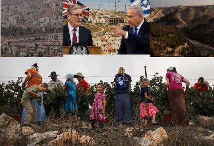 Les Pays-Bas vont renforcer leur politique commerciale à l’égard d’Israël en interdisant, à partir du 22 septembre, les produits provenant des implantations israéliennes en Judée-Samarie.