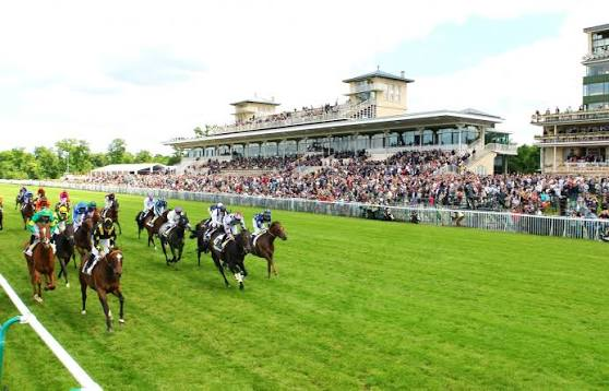 PRONOSTIC JVFE PMU ARL1 DU MARDI 29 SEPTEMBRE 2026-CHANTILLY – PRIX DE LA CHAMBRE DU DUC-16 CONCURRENTS – 1ère COURSE – PLAT 50 900 EUROS (ENV. 33 500 000 F CFA) – 1 900 METRES